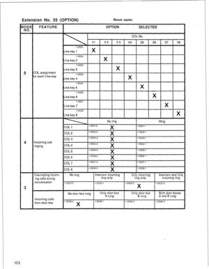 Page 126123 
Extension No. 25 (OPTION) Room name:  