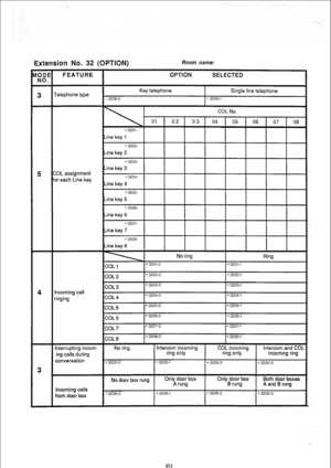 Page 208Extension No. 32 (OPTION) Room name: 
61  