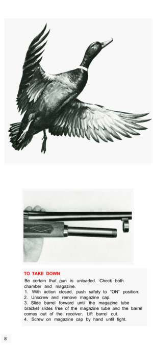 Page 10TO  TAKE  DOWN Be  certain  that  gun  is  unloaded.  Check  both 
chamber  and  magazine.  1.  With  action  closed,  push  safety  to  “ON”  position. 
2.  Unscrew  and  remove  magazine  cap.  3.  Slide  barrel  forward  until  the  magazine  tube 
bracket  slides  free  of  the  magazine  tube  and  the  barrel 
comes  out  of  the  receiver.  Lift  barrel  out. 
4.  Screw  on  magazine  cap  by  hand  until  tight. 
8  