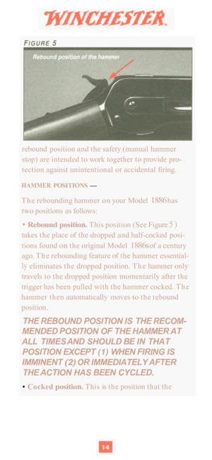 Page 16rebound position and the safety (manual hammer 
stop) are  intended  to work  together  to provide pro
- 
tection  against unintentional or  accidental firing. 
HAMMER POSITIONS  — 
The rebounding hammer  on your  Model 1886 has 
two  positions  as  follows: 
• Rebound position. This position (See  Figure 5) 
takes the place  of the  dropped  and half-cocked  posi- 
tions found on the original Model 1886s of a century 
ago.  The  rebounding feature  of the  hammer  essential
- 
ly eliminates  the dropped...