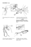 Page 23REASSEMBLY (Cont.)
- \Y/
9. Turn bolt carrier assembly (7) over 