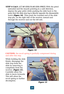 Page 2925
STEP 4 Con’t. (C7.45 LDA/C6.45 LDA ONLY)With the pistol
unloaded and the muzzle pointing in a safe direction,
depress the grip safety while pushing the slide back to the
point that the slide stop lug is directly opposite the disassembly
notch (Figure 14). Then push the rounded end of the slide
stop pin, on the right side of the receiver, inward and
through the receiver and out the left side.
CAUTION: the recoil spring is partially compressed during
and after this step.
While holding the slide
firmly,...