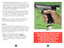 Page 10
Figure 4
DO NOT LOAD DAMAGED AMMUNITION. ALWAYS LOAD YOUR MAGAZINE WITH CLEAN, DRY, 
ORIGINAL HIGH QUALITY FACTORY MADE  AMMUNITION THAT IS IN GOOD 
 
CONDITION AND THE PROPER CALIBER 
 
FOR YOUR PISTOL (TABLE 1). 
 
PRACTICE WITH DUMMY CARTRIDGES.
SERRATED  FINGER 
GROOVES
MAGAZINE 
CATCH
BUTTON
MAGAZINE 
WELL
MAGAZINE 
FOLLOWER
MAGAZINE
2.  STOP SHOOTING IMMEDIATELY if  you encounter any other mechanical malfunction while firing your pistol, e.g., 
cartridge has failed to extract, report on firing...