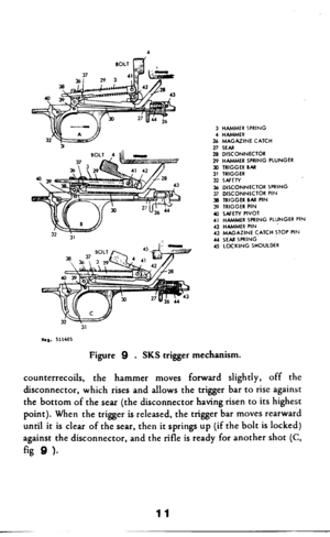 Page 123 HAMMER SPRING 
4 HAMMER 
26 MAGAZINE CATCH 
27 SEAR 
28 DISCONNECTOR 
29 HAMMER SPRING PLUNGER 
30 TRIGGER BAR 
31 TRIGGER 
32 SAFETY 
36 DISCONNECTOR SPRING 
37 DISCONNECTOR PIN 
38 TRIGGER 8M PIN 
39 TRIGGER PIN 
40 SAfEW PIVOT 
4, HAMMER SPRING PLUNGER PIN 
42 HAMMER PIN _ 
43 MAGAZINE CATCH STOP PIN 
U SEARSPRING 
45 LOCKING SHOULDER 
Figure 9 . SKS trigger mechanism. 
counterrecoils, 
the hammer moves forward slightly, off the 
disconnector, which rises and allows the trigger bar to rise against...