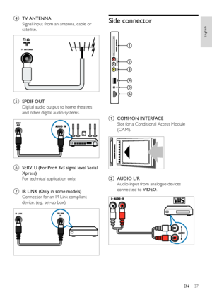 Page 3937
English
EN
d TV ANTENNA
Signal input from an antenna, cable or 
satellite.
  
e SPDIF OUT
Digital audio output to home theatres 
and other digital audio systems.
 
f SERV. U (For Pro+ 3v3 signal level Serial 
Xpress)
For technical application only.
g IR LINK (Only in some models)
Connector for an IR Link compliant 
device. (e.g. set-up box).
IR LINKIR LINK
IN
TV  ANTENNA
Side connector
1
2
3
4
5
6
 
a COMMON INTERFACE
Slot for a Conditional Access Module 
(C AM).
 
b AUDIO L/R
Audio input from...