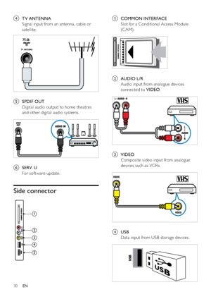 Page 3230
a COMMON INTERFACE
Slot for a Conditional Access Module 
(C AM).
 
b AUDIO L/R
Audio input from analogue devices 
connected to VIDEO.
 
c VIDEO
Composite video input from analogue 
devices such as VCRs.
 
d USB
Data input from USB storage devices.
 
d TV ANTENNA
Signal input from an antenna, cable or 
satellite.
  
e SPDIF OUT
Digital audio output to home theatres 
and other digital audio systems.
 
f SERV. U
For sof tware update.
Side connector
 
TV ANTENNA
1
2
3
4
5
EN
Downloaded From T,-Manual.com...