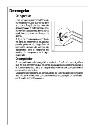 Page 5252
Descongelar
O frigorífico
Uma vez que a maior incidência de
humidade tem lugar quando se abre
a porta, a frequência das fases de
descongelação é determinada pelo
número de vezes que se abre a porta
e pelo tempo que se mantém a porta
aberta.
A água de condensação é recolhida
na calha de escoamento, situada na
parede posterior do frigorífico, é
conduzida através do orifício de
escoamento para o recipiente de
recolha do compressor e é aqui
evaporada.
O congelador
El compartimento del congelador es de...