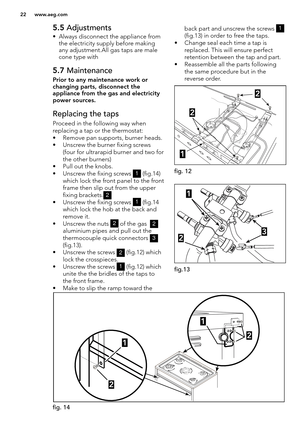 Page 2222 www.aeg.com
fig. 14
5.5 Adjustments  
• Always disconnect the appliance from the electricity supply before making 
any adjustment.All gas taps are male 
cone type with 
5.7 Maintenance
Prior to any maintenance work or 
changing parts, disconnect the 
appliance from the gas and electricity 
power sources.
Replacing the taps
Proceed in the following way when 
replacing a tap or the thermostat:
• Remove pan supports, burner heads.• Unscrew the burner fixing screws (four for ultrarapid burner and two for...
