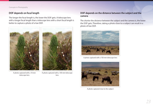 Page 2423
Concepts in Photography
DOF depends on focal length
The longer the focal length is, the lower the DOF gets. A telescope lens 
with a longer focal length than a telescope lens with a short focal length is 
better to capture a photo of a low DOF.
A photo captured with a 18 mm  telescope lens A photo captured with a 100 mm telescope 
lens
DOF depends on the distance between the subject and the 
camera
The shorter the distance between the subject and the camera is, the lower 
the DOF gets. Therefore,...
