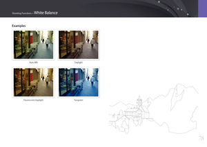 Page 7978
Shooting Functions > White Balance
Examples
Auto WBDaylight
Fluorescent Daylight Tungsten 