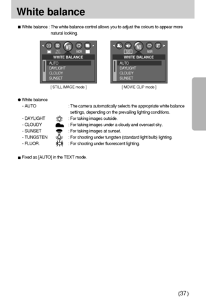 Page 3737
White balance : The white balance control allows you to adjust the colours to appear more
natural looking. 
White balance
- AUTO : The camera automatically selects the appropriate white balance
settings, depending on the prevailing lighting conditions.
- DAYLIGHT : For taking images outside.
- CLOUDY : For taking images under a cloudy and overcast sky.
- SUNSET : For taking images at sunset.
- TUNGSTEN : For shooting under tungsten (standard light bulb) lighting.
- FLUOR.  : For shooting under...