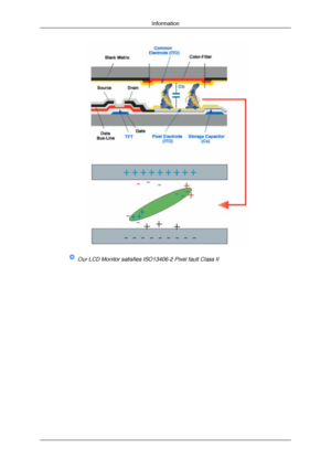 Page 184 Our LCD Monitor satisfies ISO13406-2 Pixel fault Class IIInformation 