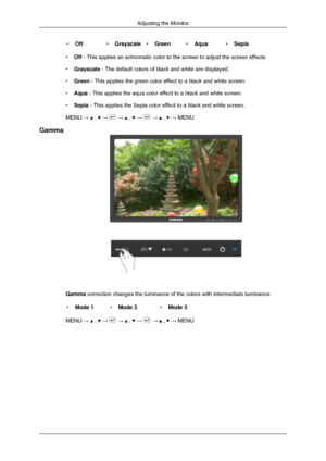 Page 52•
Off •Grayscale •Green •Aqua •Sepia
• Off - This applies an achromatic color to the screen to adjust the screen e\
ffects.
• Grayscale - The default colors of black and white are displayed.
• Green - This applies the green color effect to a black and white screen.
• Aqua - This applies the aqua color effect to a black and white screen.
• Sepia - This applies the Sepia color effect to a black and white screen.
MENU →   ,   →   →   ,   →   →   ,   → MENU
Gamma Gamma correction changes the luminance of the...