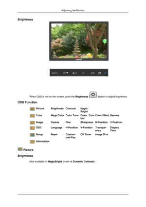 Page 86Brightness
When OSD is not on the screen, push the Brightness ( ) button to adjust brightness.
OSD Function Picture
BrightnessContrastMagic-
Bright Color
MagicColorColor ToneColor Con-
trolColor Effect
Gamma Image
CoarseFineSharpnessH-PositionV-Position OSD
LanguageH-PositionV-PositionTranspar-
encyDisplay
Time Setup
ResetCustom-
ized KeyOff Timer
Image Size  Information
 Picture
Brightness (Not available in  MagicBright  mode of Dynamic Contrast.)Adjusting the Monitor 