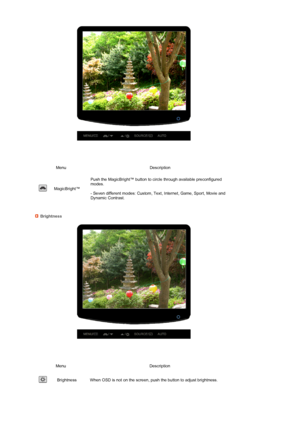 Page 31 
 
 
 
 
 
  
Menu Description
 
MagicBright™ Push the MagicBright™ button to circle through available preconfigured 
modes.  
 
- Seven different modes: Custom, Text, Internet, Game, Sport, Movie and 
Dynamic Contrast. 
Brightness
 
Menu Description
 
Brightness When OSD is not on the screen, push the button to adjust brightness.
 