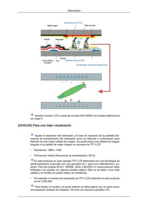 Page 183 Nuestro monitor LCD cumple las normas ISO13406-2 sin píxeles defectuosos
de Clase II
{2243LNX} Para una mejor visualización   Ajuste  la  resolución  del  ordenador  y  la  tasa  de  inyección  de  la  pantalla  (fre-
cuencia  de actualización) 
del 

ordenador  como  se  describe  a  continuación  para
disfrutar de una mejor calidad de imagen. Se puede tener una calidad de imagen
irregular si la calidad de mejor imagen no proviene de TFT-LCD.
• Resolución: 1680 x 1050
• Frecuencia vertical (frecuencia...