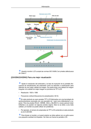 Page 179 Nuestro monitor LCD cumple las normas ISO13406-2 sin píxeles defectuosos
de Clase II
{2243SN/2243SNX} Para una mejor visualización   Ajuste  la  resolución  del  ordenador  y  la  tasa  de  inyección  de  la  pantalla  (fre-
cuencia  de actualización) 
del 

ordenador  como  se  describe  a  continuación  para
disfrutar de una mejor calidad de imagen. Se puede tener una calidad de imagen
irregular si la calidad de mejor imagen no proviene de TFT-LCD.
• Resolución: 1920 x 1080
• Frecuencia vertical...