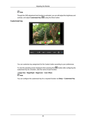 Page 46 Note
Though the  OSD 
adjustment lock function is activated, you can still adjust the brightness and
contrast, and adjust Customized Key ( ) using the Direct button.
Customized key You can customize key assignment for the Custom button according to your preferences.
To view 
the 

operating screen displayed when pressing the [   ] button after configuring the
customized key for a function, click the name of each function.
( Image Size - MagicBright - MagicColor - Color Effect)  Note
You can configure...