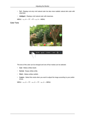 Page 60Downloaded from ManualMonitor.com Manual± 