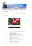 Page 32 
 
 Control Buttons 
 
Use this button to open the on-screen menu and exit from the menu screen 
or close screen adjustment menu. 
Analog/Digital(PC) : MagicBright™  
MagicBright™ is a new feature providing the optimum viewing environment 
depending on the contents of the image you are watching.  
Then press the button again to circle through available preconfigured 
modes.  
( Custom → Text 
→ Internet 
→ Game 
→ Sports 
→ Movie 
→ Dynamic CR ) 
 
 
Digital(DVD)/AV/S-Video/Component : Mode 
The Monitor...