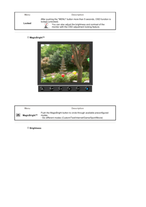 Page 44Menu Description
LockedAfter pushing the MENU button more than 5 seconds, OSD function is 
locked (unlocked). 
You can also adjust the brightness and contrast of the 
monitor with the OSD adjustment locking feature.
 MagicBright™ 
Menu Description
MagicBright™Push the MagicBright button to circle through available preconfigured 
modes. 
- Six different modes (Custom/Text/Internet/Game/Sport/Movie) 
 Brightness 
 