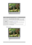 Page 50MenuDescription
AUTO When the 
AUTO button is pressed, the Au
to Adjustment screen appears 
as shown in the animated screen on the center. 
Auto adjustment allows the monitor to  self-adjust to the incoming video 
signal. The values of fine, coarse and position are adjusted automatically.  
 
To make the automatic adjustment function sharper, execute the AUTO 
function while the  AUTO PATTERN is on. 
 
- If Auto Adjustment does not work properly, press Auto button again to 
adjust picture with more...