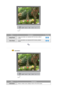 Page 57MenuDescriptionPlay/Stop
Image ResetImage parameters are replaced with the factory default 
values.
Color ResetColor parameters are replaced with the factory default 
values.
 
 
 
   Information 
MenuDescription
Information Shows a video source, display mode on the OSD screen. 
 