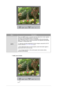 Page 59MenuDescription
AUTO When the 
AUTO button is pressed, the Au
to Adjustment screen appears 
as shown in the animated screen on the center. 
Auto adjustment allows the monitor to  self-adjust to the incoming video 
signal. The values of fine, coarse and position are adjusted automatically.  
(Available in analog Mode Only) 
 
To make the automatic adjustment function sharper, execute the AUTO 
function while the  AUTO PATTERN is on. 
 
- If Auto Adjustment does not work properly, press Auto button again...