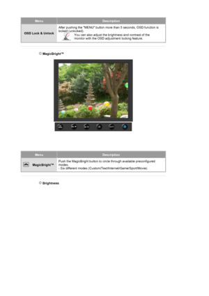 Page 25MenuDescription
OSD Lock & UnlockAfter pushing the MENU button more than 5 seconds, OSD function is 
locked (unlocked). You can also adjust the brightness and contrast of the 
monitor with the OSD adjustment locking feature.
 
 
 MagicBright™ 
 
MenuDescription
 MagicBright™Push the MagicBright button to circle through available preconfigured 
modes. 
- Six different modes (Custom/Text/Internet/Game/Sport/Movie) 
 
 
 Brightness 
 