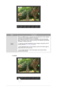 Page 43MenuDescription
AUTO When the 
AUTO button is pressed, the Au
to Adjustment screen appears 
as shown in the animated screen on the center. 
Auto adjustment allows the monitor to  self-adjust to the incoming video 
signal. The values of fine, coarse and position are adjusted automatically.  
(Available in analog mode only) 
 
To make the automatic adjustment function sharper, execute the AUTO 
function while the  AUTO PATTERN is on. 
 
- If auto adjustment does not work properly, press AUTO button again...