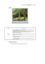 Page 33MenuDescription
AUTO  When the 
AUTO button is pressed, the Auto Adjustment screen appears as 
shown in the animated screen on the center. 
Auto adjustment allows the monitor to self-adjust to the incoming video signal. 
The values of fine, coarse and position are adjusted automatically.  
(Available in analog mode only) 
 
To make the automatic adjustment function sharper, execute the AUTO function 
while the  AUTO PATTERN  is on. 
 
- If Auto Adjustment does not work properly, press AUTO button again...