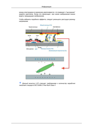 Page 63между электродами со временем увеличивается, что приводит к “выгоранию”
жидкого 
кристалла.  Когда  это  происходит,  при  смене  изображения  можно
видеть предыдущее изображение.
Чтобы избежать подобного эффекта, следует уменьшать растущую разницу
напряжения.
  Данный  монитор   LCD отвечает  требованиям  к  количеству  нерабочих
пикселей стандарта ISO13406-2 Pixel fault Class II
Информация
Downloaded from ManualMonitor.com Manual± 
