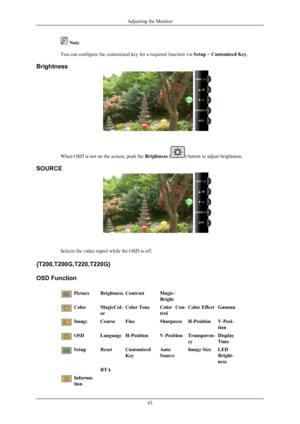 Page 44 Note
You can configure the customized key for a required function via  Setup > Customized Key.
Brightness When OSD is not on the screen, push the 
Brightness ( ) button to adjust brightness.
SOURCE Selects the video signal while the OSD is off.
{T200,T200G,T220,T220G}
OSD Function Picture
BrightnessContrast Magic-
Bright Color
MagicCol-
orColor Tone
Color  Con-
trolColor Effect
Gamma Image Coarse
FineSharpnessH-Position V-Posi-
tion OSD
LanguageH-Position V-PositionTransparen-
cy Display
Time Setup...