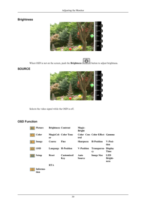 Page 31Brightness
When OSD is not on the screen, push the 
Brightness ( ) button to adjust brightness.
SOURCE Selects the video signal while the OSD is off.
OSD Function Picture
BrightnessContrast Magic-
Bright Color
MagicCol-
orColor Tone
Color  Con-
trolColor Effect
Gamma Image Coarse
FineSharpnessH-Position V-Posi-
tion OSD
LanguageH-Position V-PositionTransparen-
cy Display
Time Setup
ResetCustomized
Key Auto
SourceImage Size
LED
Bright-
ness
    RTA Informa-
tionAdjusting the Monitor
30 