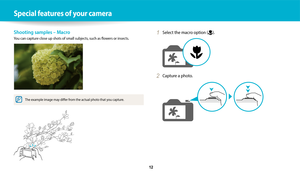 Page 13 
   12
Shooting samples – Macro
You can capture close up shots of small subjects, such as flowers or insects.
The example image may differ from the actual photo that you capture.
1 Select the macro option ().
2 Capture a photo.
Special features of your camera 