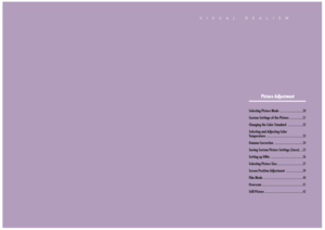 Page 15Picture Adjustment
VISUAL REALISM
Picture Adjustment
Selecting Picture Mode
..............................30
Custom Settings of the Picture
..................31
Changing the Color Standard
....................32
Selecting and Adjusting Color 
Temperature
................................................33
Gamma Correction
......................................34
Saving Custom Picture Settings (Save)
....35
Setting up DNIe
..........................................36
Selecting Picture Size...