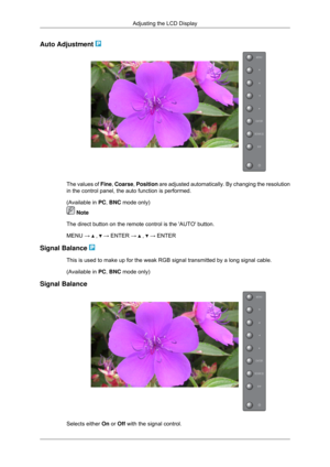 Page 60Auto Adjustment 
The values of Fine, Coarse, Position are adjusted automatically. By changing the resolution
in the control panel, the auto function is performed.
(Available in 
PC, BNC mode only)  Note
The direct button on the remote control is the AUTO button.
MENU →   ,   → ENTER →   ,   → ENTER
Signal Balance  This is used to make up for the weak RGB signal transmitted by a long si\
gnal cable.
(Available in 
PC, BNC mode only)
Signal Balance Selects either On or Off with the signal control.Adjusting...