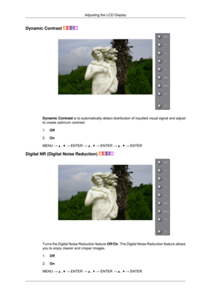 Page 67Dynamic Contrast 
Dynamic Contrast
 is to automatically detect distribution of inputted visual signal and a\
djust
to create optimum contrast.
1. Off
2. On
MENU →   ,   → ENTER →   ,   → ENTER →   ,   → ENTER
Digital NR (Digital Noise Reduction)  Turns the Digital Noise Reduction feature 
Off/On. The Digital Noise Reduction feature allows
you to enjoy clearer and crisper images.
1. Off
2. On
MENU →   ,   → ENTER →   ,   → ENTER →   ,   → ENTER
Adjusting the LCD Display 