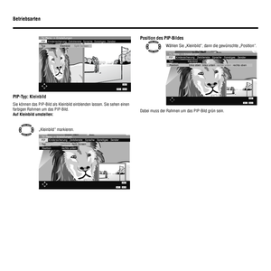 Page 2422
 
TV-Menü -> Einstellungen
PIP   Kindersicherung  Zeitdienste  Sprache  Sonstiges  Sender
Typ                  Kleinbild     Split Screen
END
INFOBACK
PIP-Typ: Kleinbild
Sie können das PIP-Bild als Kleinbild einblenden lassen. Sie sehen einen 
farbigen Rahmen um das PIP-Bild.
Auf Kleinbild umstellen:
„Kleinbild“ markieren.
TV-Menü -> Einstellungen
END
INFOBACK
Typ                  Kleinbild  Split Screen
Position             rechts untenPIP    Kindersicherung   Zeitdienste   Sprache   Sonstiges...
