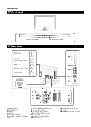 Page 6introduction
1
VGA
Y
LR
LR Pb
Pr
SCART 1S CART 2
AUDI
O
SPDIF OUT
AUDIO OU T
PC IN
COMPONEN T
75
S-VIDEO
VIDEO L R C.I.
AV IN
3
4
2
5
6
8
7
910
11
13
12
14
15
16
P
MENU
SER VICE
1  Power connector
2  SERVICE socket
3  HDMI 1
4  HDMI 2
5  PC IN (VGA/AUDIO)
6  Component Video and L/R Audio 
input 7  SPDIF Output (Digital audio out)
8  AV L/R Audio Output
9  SCART 1 (CVBS Tuner out)
10  SCART 2 (CVBS Monitor out)
11  Tuner Input
12  COMMON INTERFACE slot
13  Earphone Output 14  Composite ( AV IN, AV/LR)
15...