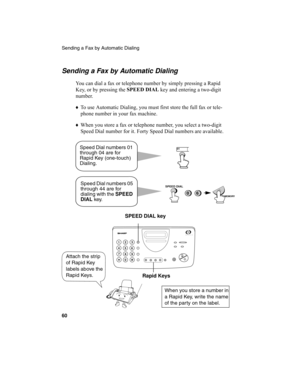 Page 62Sending a Fax by Automatic Dialing
60
Sending a Fax by Automatic Dialing
You can dial a fax or telephone number by simply pressing a Rapid 
Key, or by pressing the SPEED DIAL
 key and entering a two-digit 
number.
♦
To use Automatic Dialing, you must first store the full fax or tele-
phone number in your fax machine.
♦
When you store a fax or telephone number, you select a two-digit 
Speed Dial number for it. Forty Speed Dial numbers are available.
Speed Dial numbers 01 
through 04 are for 
Rapid Key...