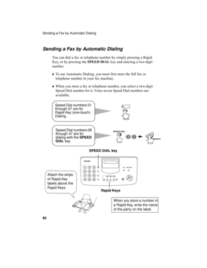 Page 62Sending a Fax by Automatic Dialing
60
Sending a Fax by Automatic Dialing
You can dial a fax or telephone number by simply pressing a Rapid 
Key, or by pressing the SPEED DIAL key and entering a two-digit 
number.
♦To use Automatic Dialing, you must first store the full fax or 
telephone number in your fax machine.
♦When you store a fax or telephone number, you select a two-digit 
Speed Dial number for it. Forty-seven Speed Dial numbers are 
available.
Speed Dial numbers 01 
through 07 are for 
Rapid Key...