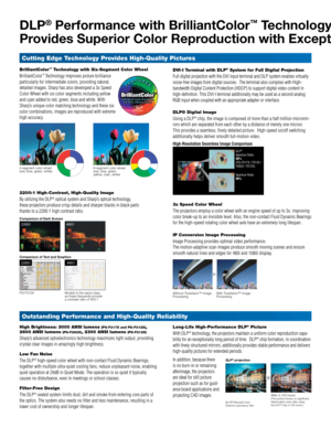 Page 2Long-Life High-Performance DLP® Picture
With DLP® technology, the projectors maintain a uniform color reproduction capa-
bility for an exceptionally long period of time.  DLP® chip formation, in coordination 
with finely structured mirrors, additionally provides stable performan\
ce and delivers 
high-quality pictures for extended periods.
In addition, because there 
is no burn-in or remaining 
afterimage, the projectors 
are ideal for still picture 
projection such as for guid-
ance board applications...