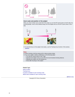 Page 62Zoom  scale  and position of  the subject
When  you  shoot  a flower  and  a small  item from close  up, turn the W/T (zoom)  lever  to  the W  side.  For
shooting  people,  move  a short distance away  from the subject  and  turn the W/T (zoom)  lever  to  the T
side.
To  lock  the focus on  the subject  more  easily,  use  the Tracking  focus function  of  the camera.
[Details]
Notes When  shooting, hold the camera  still  to  reduce camera  shake.
If you  are  unable  to  defocus  effectively, try...