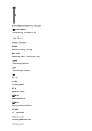 Page 24Smile  detection sensitivity indicator
3 . 
Lock-on AF
Guide display for Lock-on AF
Bracket indicator
STBY
Movie recording standby
REC 0:12
Recording time of the movie (m:s)
Control ring function
Control wheel function
Focus
1/250
Shutter speed
F3.5
Aperture Value
±0.0
Metered Manual
±0.0
Exposure compensation
ISO400
ISO sensitivity
Shutter speed indicator 
