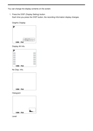 Page 65You can change the display contents on the screen.1.  Press the DISP (Display Setting)  button.
Each time you press  the DISP button, the recording information  display changes.
Graphic  Display
Display All Info.
No Disp. Info.
Histogram
Level 