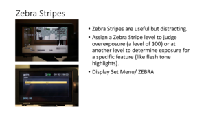 Page 47Zebra	Stripes
•Zebra	Stripes	are	useful	but	distracting.
• Assign	a	Zebra	Stripe	level	to	judge	
overexposure	(a	level	of	100)	or	at
another	level	to	determine	exposure	for	
a	specific	feature	(like	flesh	tone	
highlights).
• Display	Set	Menu/	ZEBRA 