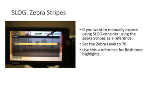 Page 76SLOG:	Zebra	Stripes
•If	you	want	to	manually	expose	
using	SLOG	consider	using	the	
Zebra	Stripes	as	a	reference.
• Set	the	Zebra	Level	to	70
• Use	this	a	reference	for	flesh	tone	
highlights. 