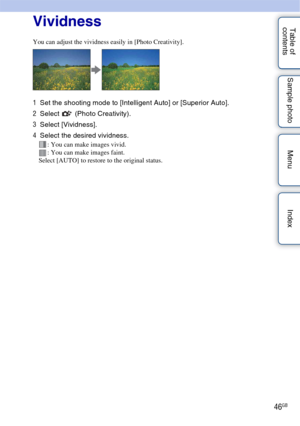Page 4646GB
Table of 
contents Sample photo Menu IndexVividness
You can adjust the vividness easily in [Photo Creativity].
1
Set the shooting mode to [Intelligent Auto] or [Superior Auto].
2 Select  (Photo Creativity).
3 Select [Vividness].
4 Select the desired vividness.
: You can make images vivid.
: You can make images faint.
Select [AUTO] to restore to the original status. 