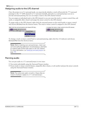 Page 162160
WORKING WITH 5.1 SURROUNDCHP. 12
Assigning audio to the LFE channel
Once the project is in 5.1 surround mode, you must decide whether a track will provide the “5” (surround 
panning) or the “1” (LFE channel) in 5.1 surround. Initially, all tracks in a surround project are set to 
provide surround panning, but you can assign a track to the LFE channel instead.
You can assign an individual track to the LFE channel or you can route the track to a mixer control (bus, soft 
synth, or assignable effect...